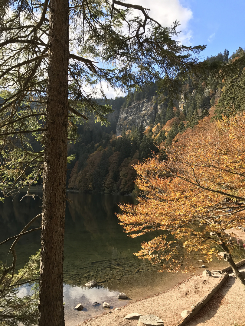 Feldbergsee