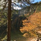 Feldbergsee