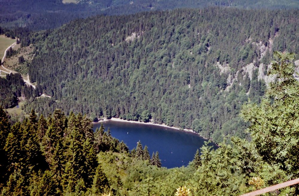 Feldbergsee (hat der liebe Gott mal eben so hingespuckt)