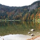 Feldbergsee im Hochschwarzwald