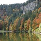 Feldbergsee im Hochschwarzwald