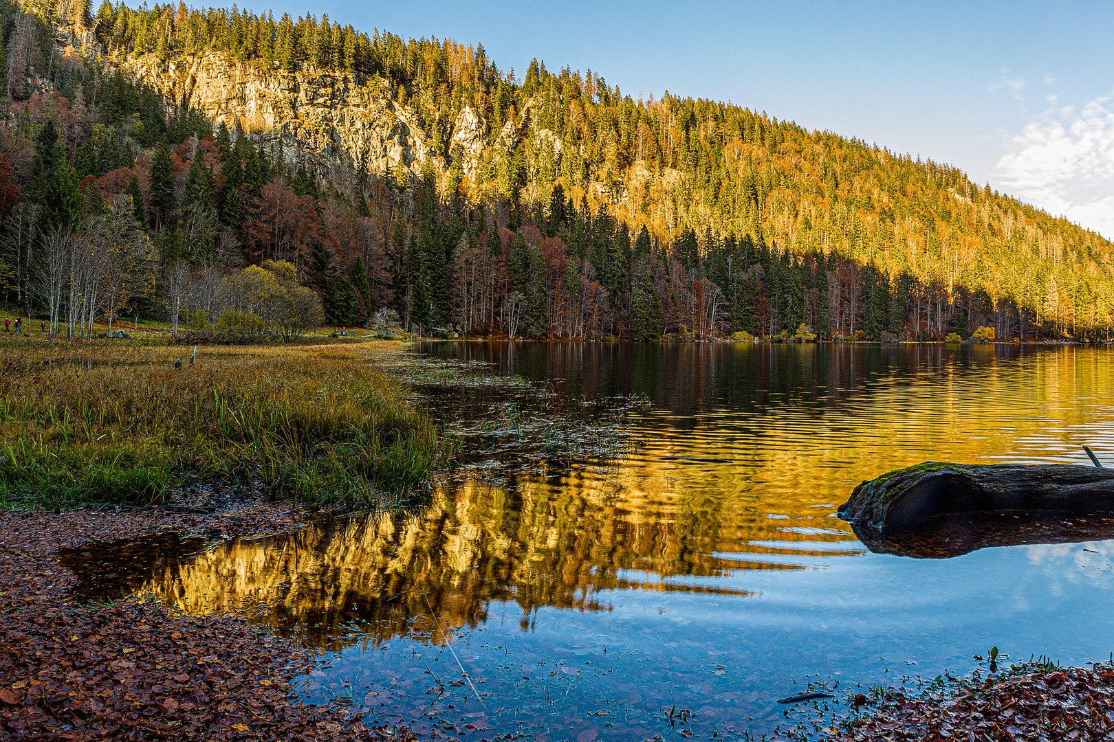 Feldbergsee Oct2020