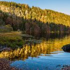 Feldbergsee Oct2020