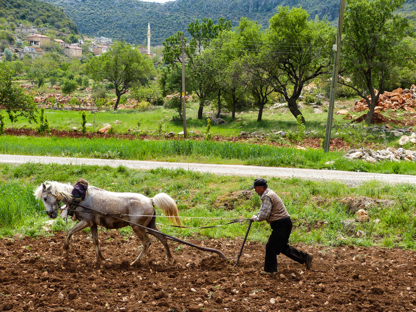 Feldbestellung im tiefen Anatolien, Türkei 