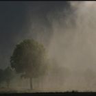 Feldbewässerung im April