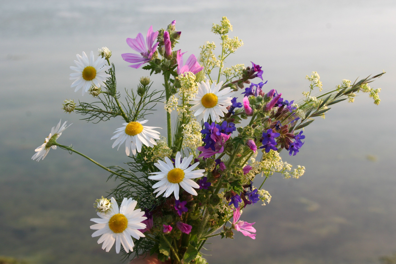 Feldblumenstrauss...