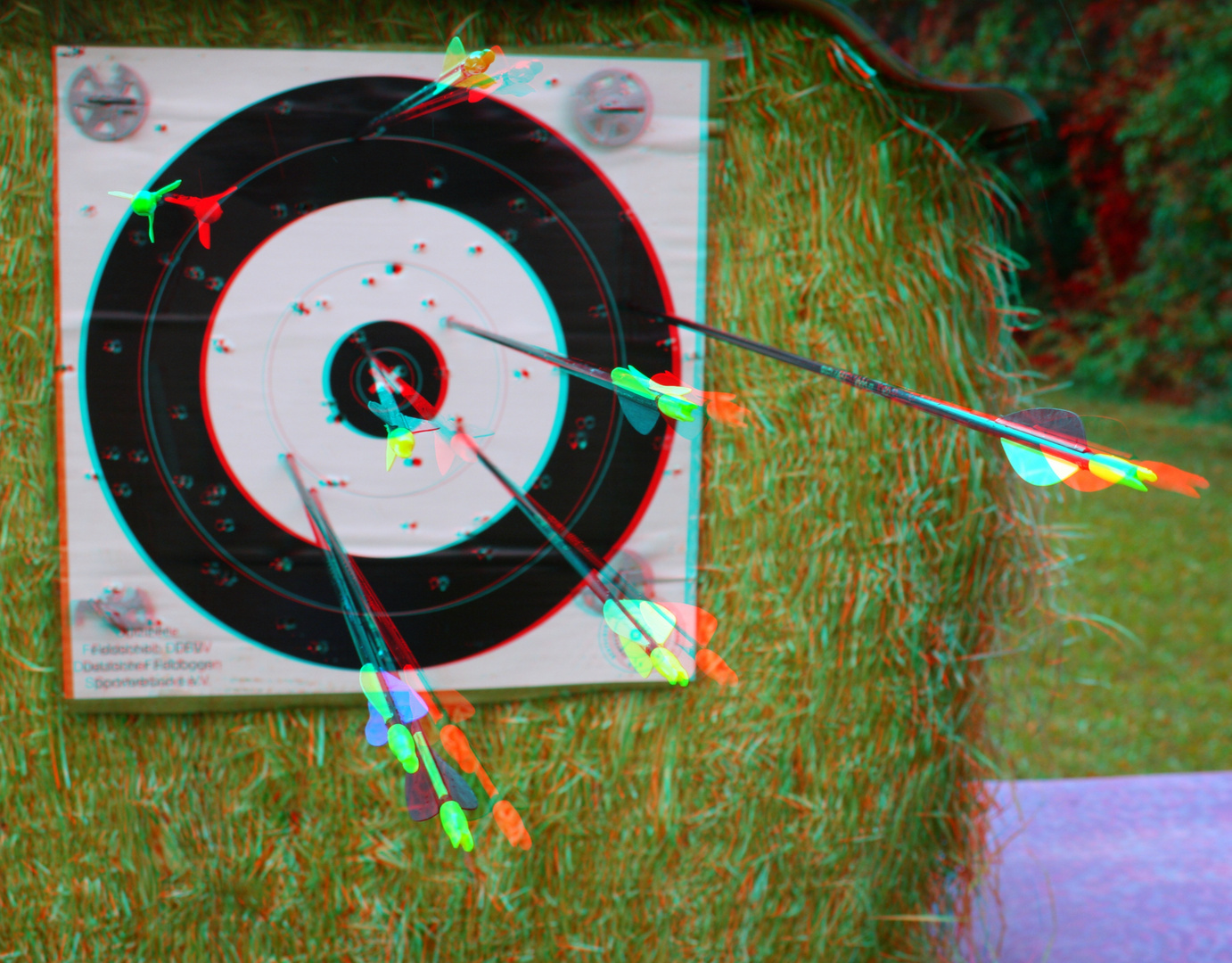 Feldbogenschießen 3D Anaglyphe [Reloaded]