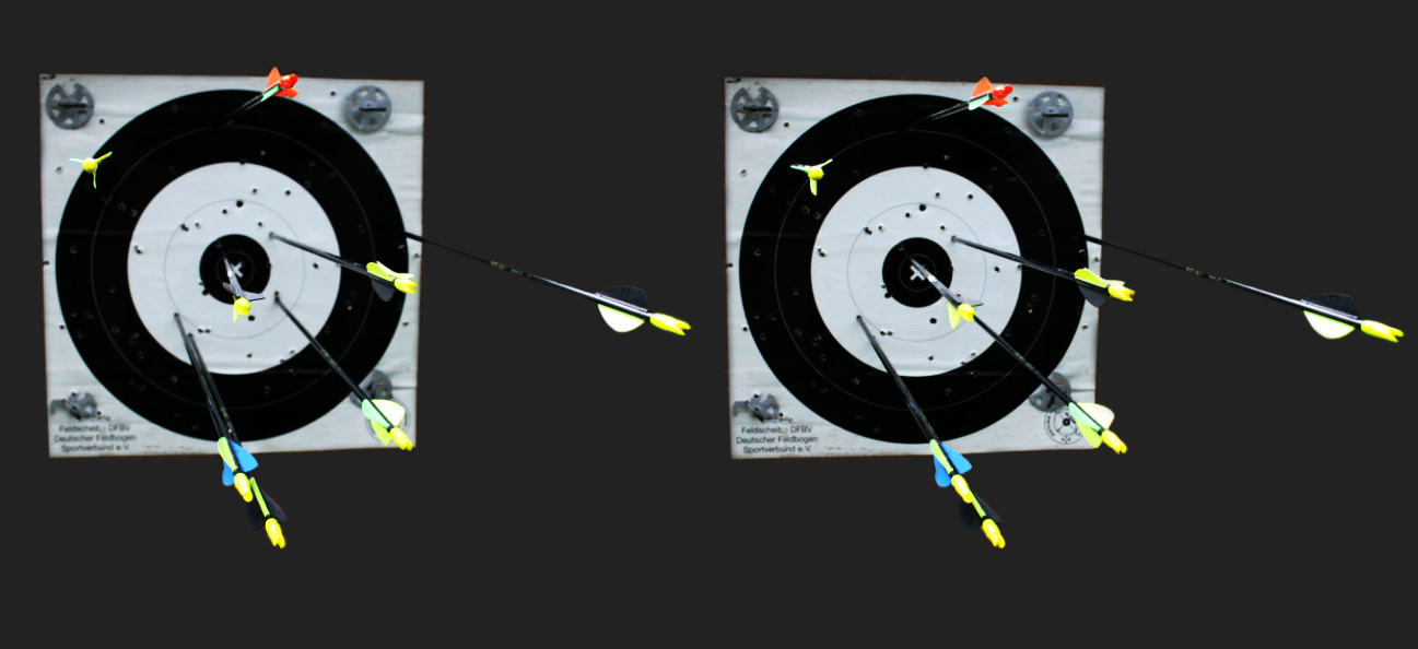 Feldbogenschießen 3DX (reloaded)