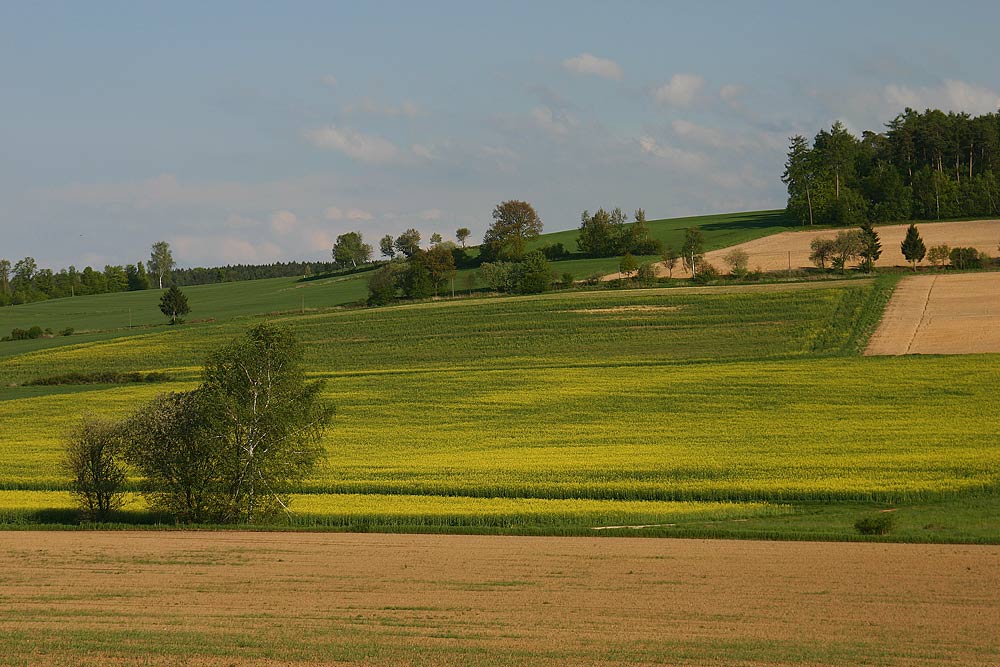 Felder am Nachmittag