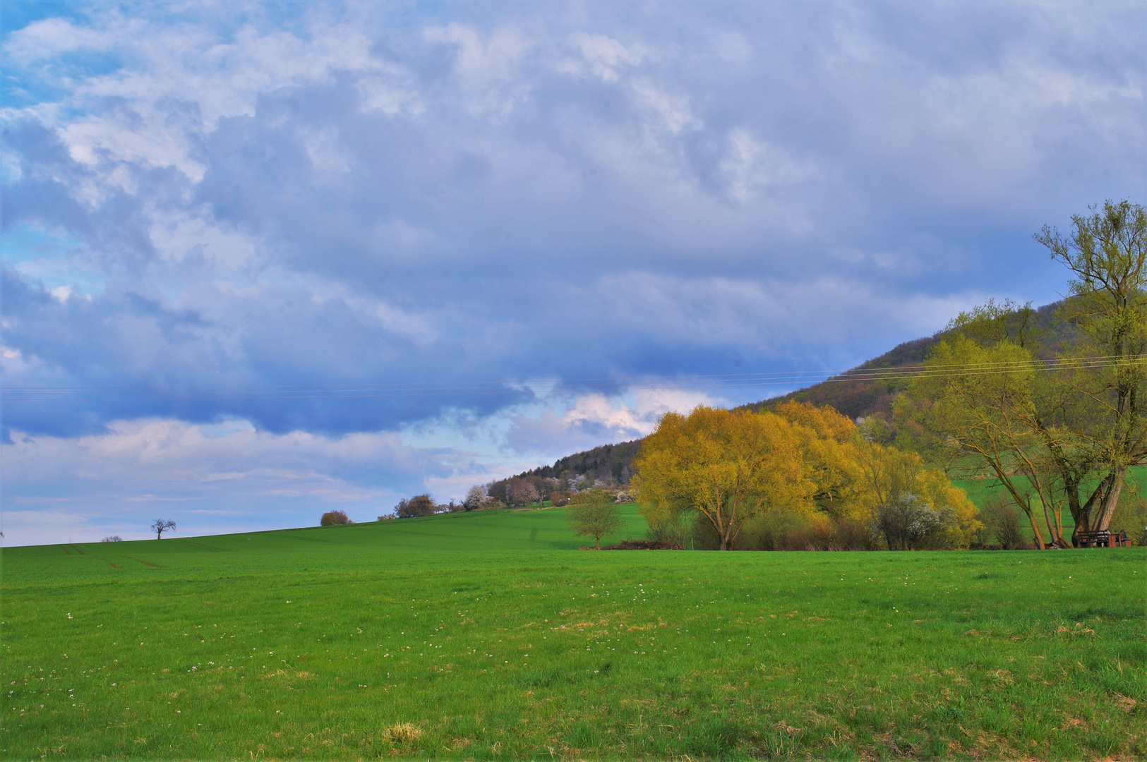 Felder am See