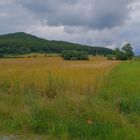 Felder am See (campos en el lago)