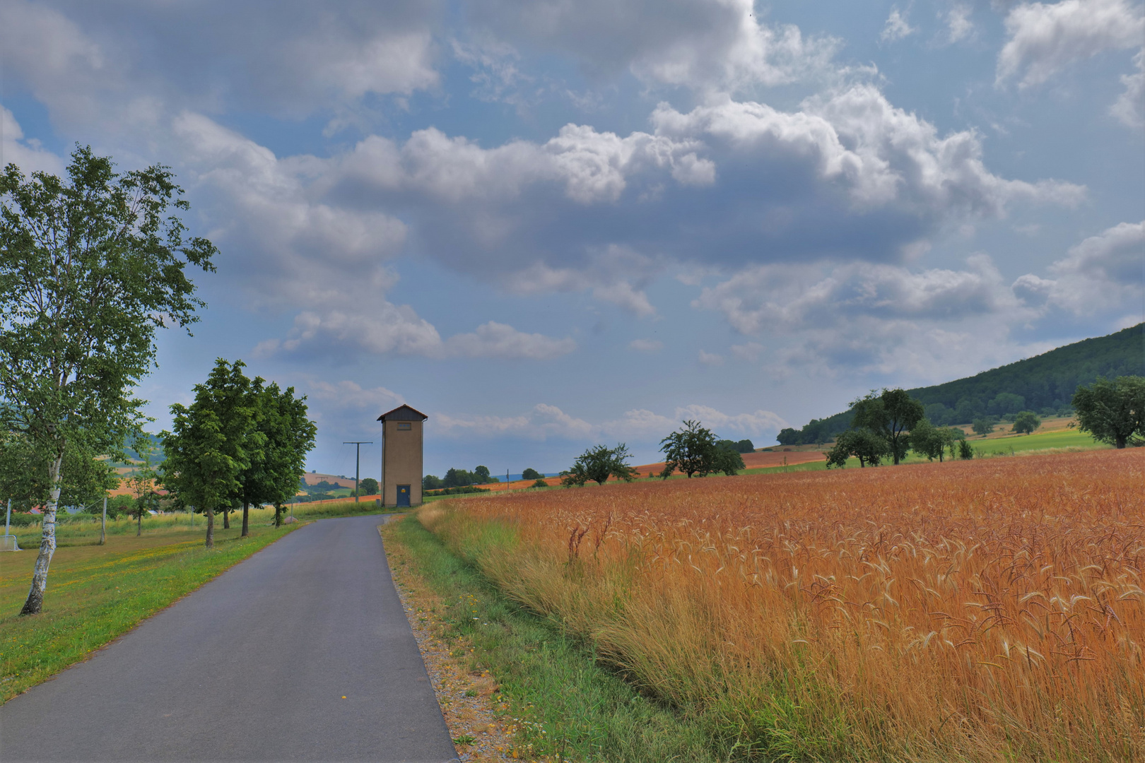 Felder am Sportplatz