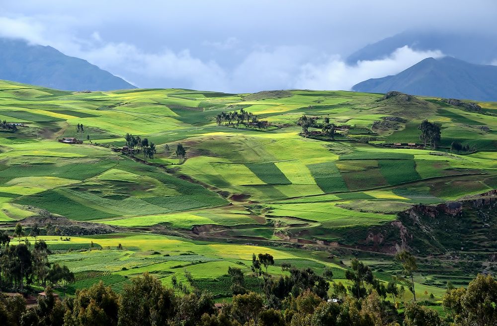 Felder am Urubambatal