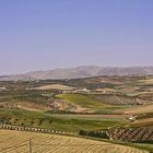 Felder bei Alhama de Granada