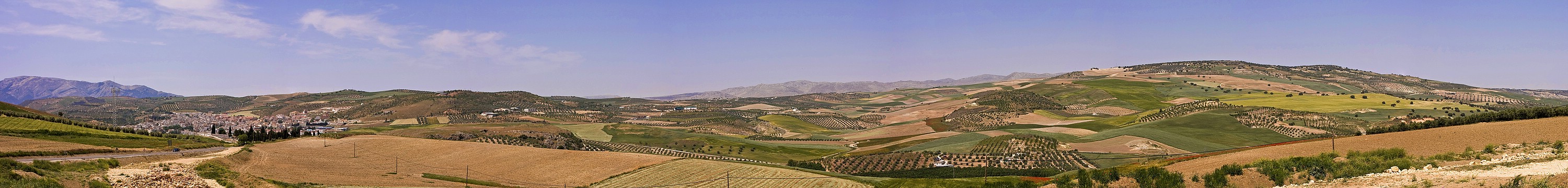 Felder bei Alhama de Granada