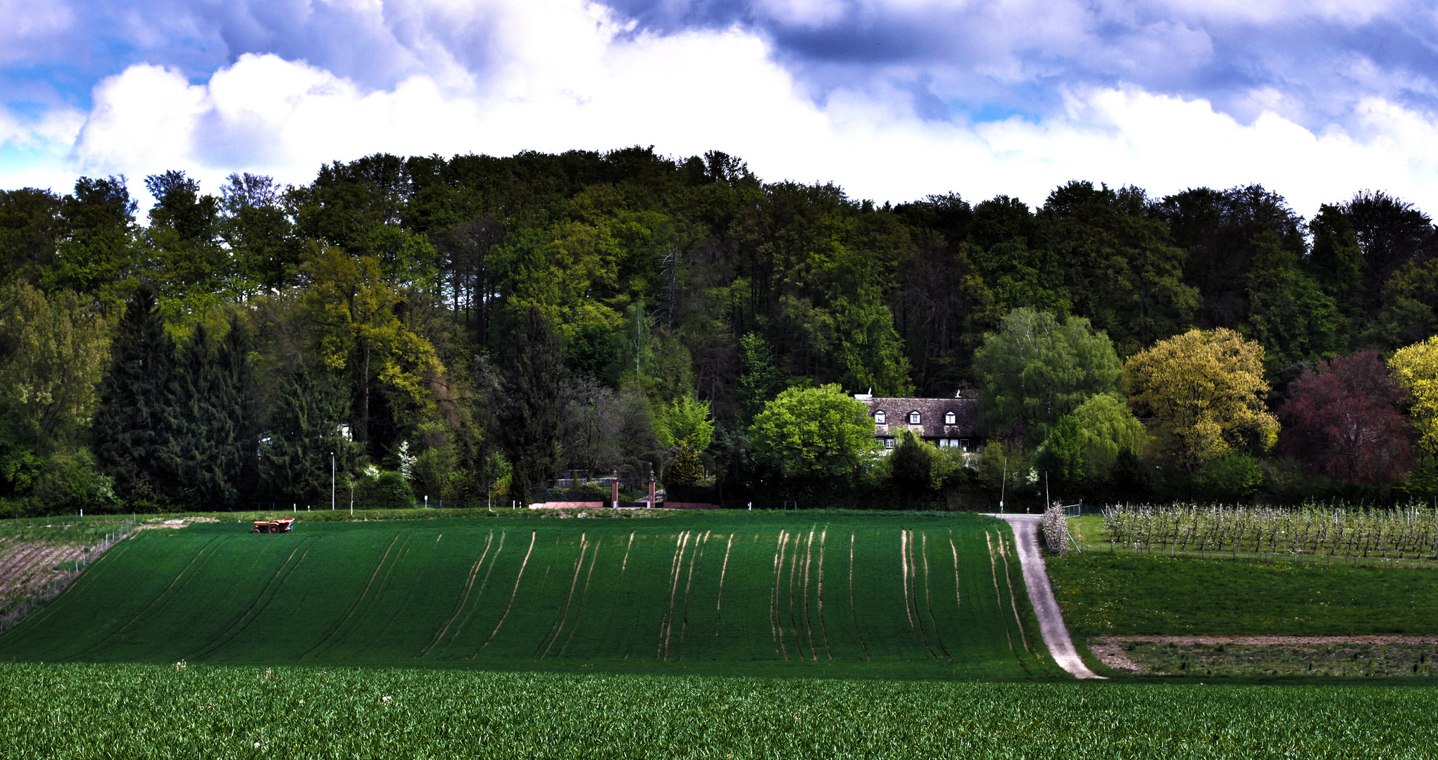 Felder bei Effretikon