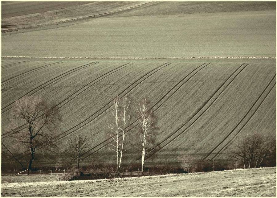 Felder bei Haddessen