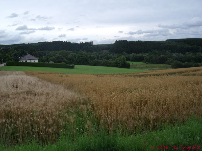 Felder bei Puderbach