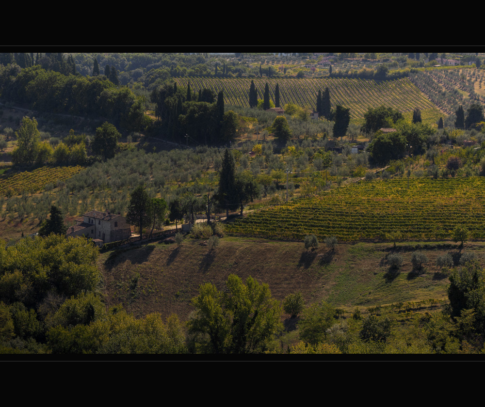 Felder bei San Gimignano