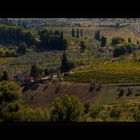 Felder bei San Gimignano