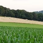 Felder bei Waldbröl-Helzen