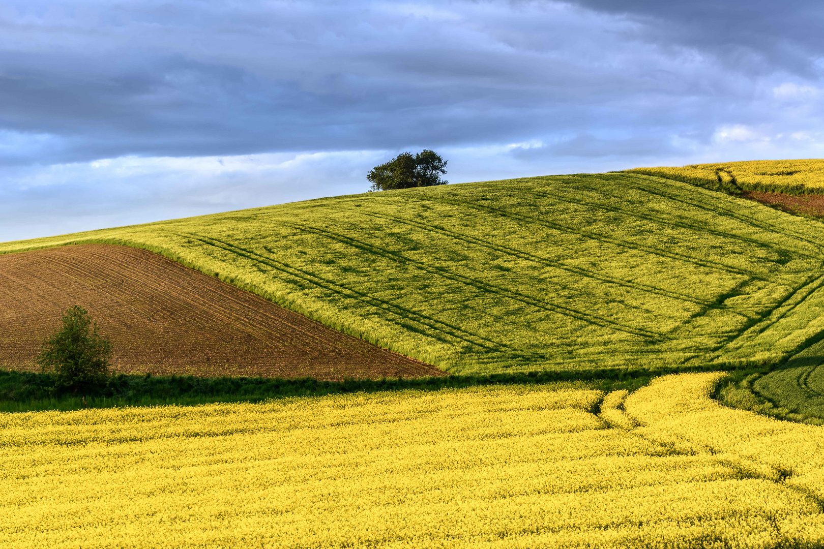 Felder Foto And Bild Landschaft Äcker Felder And Wiesen Heide Bilder