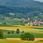 ~~~ Felder - Flächen - Farben ~~~