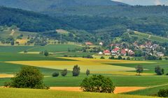 ~~~ Felder - Flächen - Farben ~~~