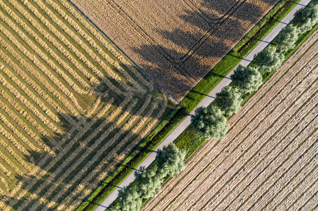 Felder Geometrie Foto Bild Landschaft Acker Felder Wiesen Kulturlandschaften Bilder Auf Fotocommunity