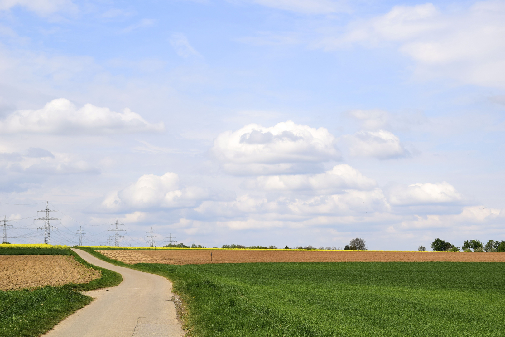 Felder im Frühling