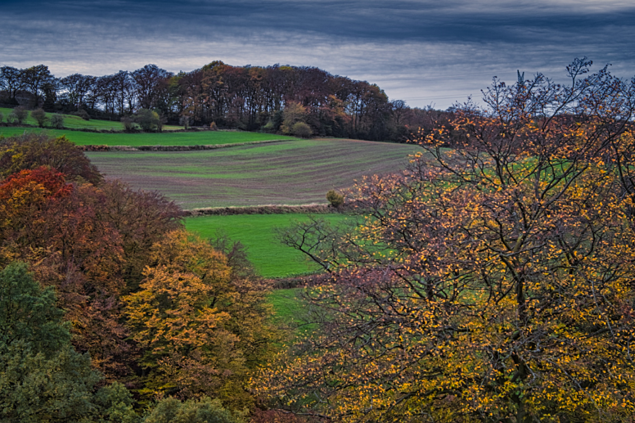 Felder im Herbst