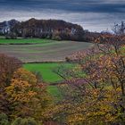 Felder im Herbst