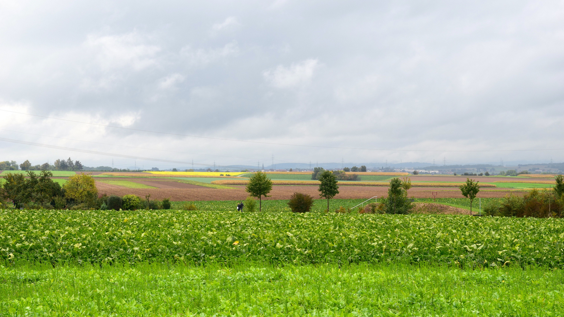 Felder im Herbst