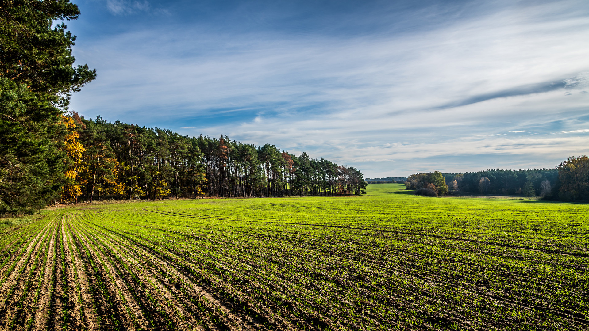 Felder im Herbst