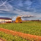 Felder im Herbst HDR (Test)