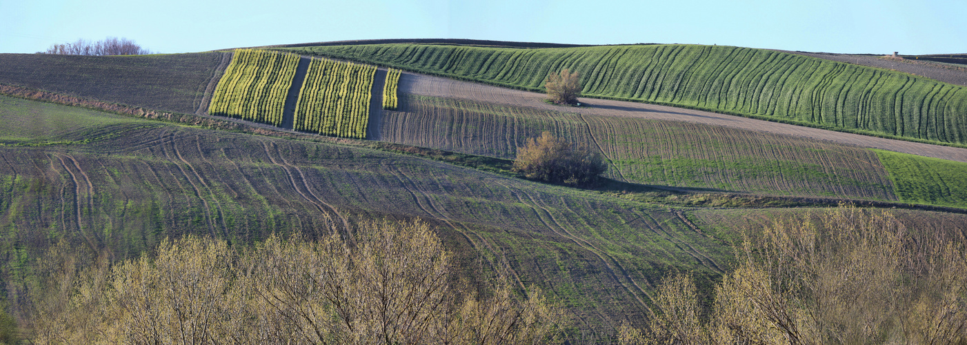 Felder im Maerz