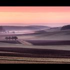 Felder im Nebel