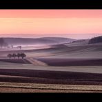 Felder im Nebel