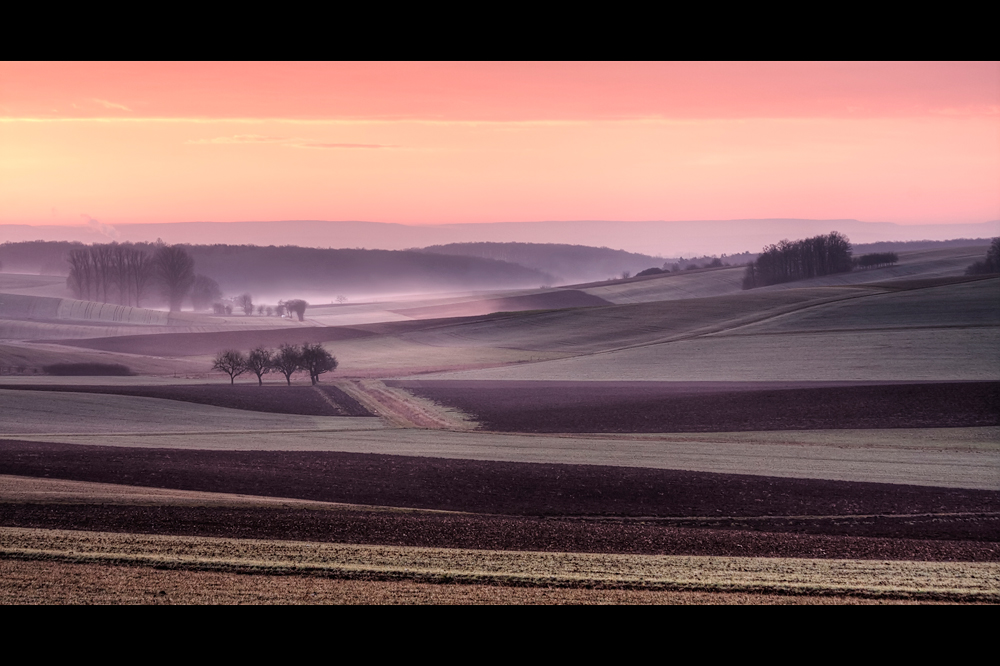 Felder im Nebel