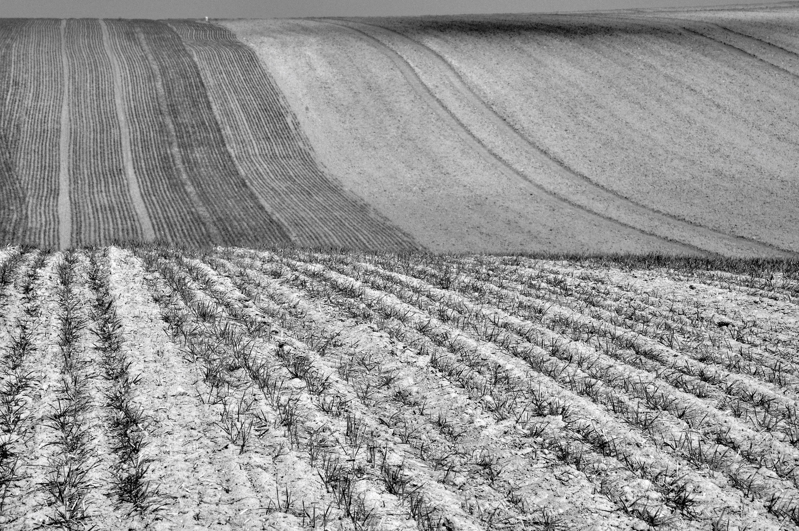 Felder im Weinviertel (Ö)