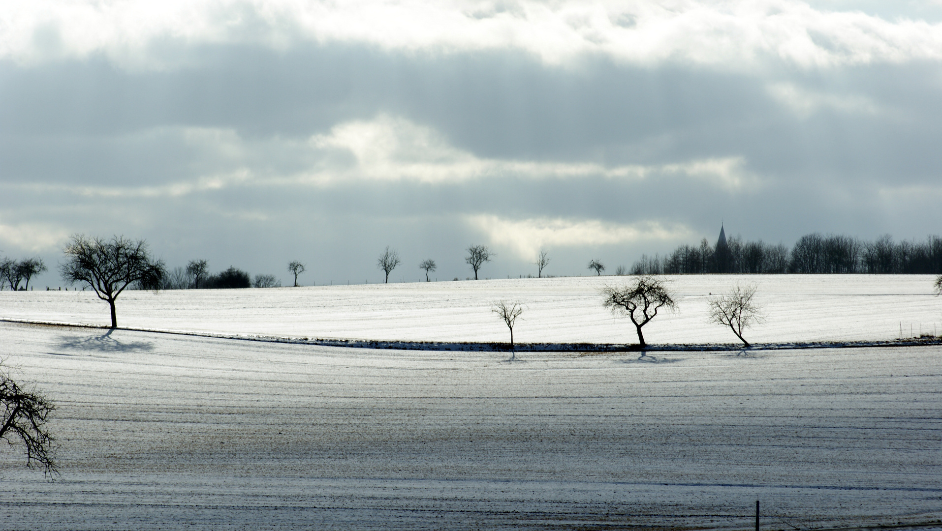 Felder im Winter