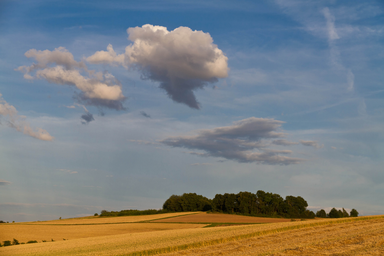 Felder in der Abendsonne