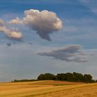 Felder in der Abendsonne