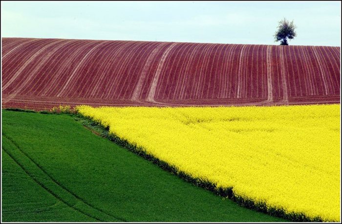 Felder in Farbe