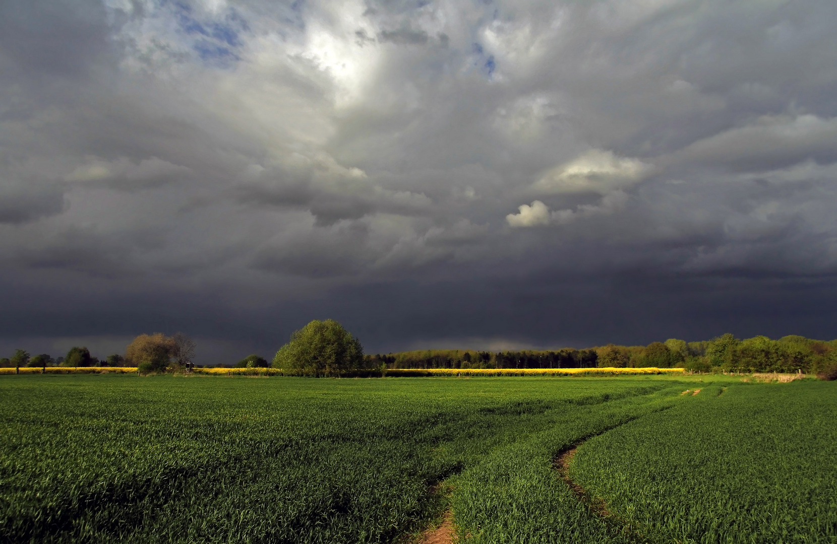 Felder, Licht und Wolken