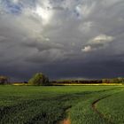 Felder, Licht und Wolken