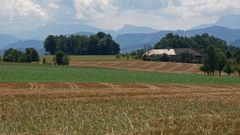 Felder mit Berge