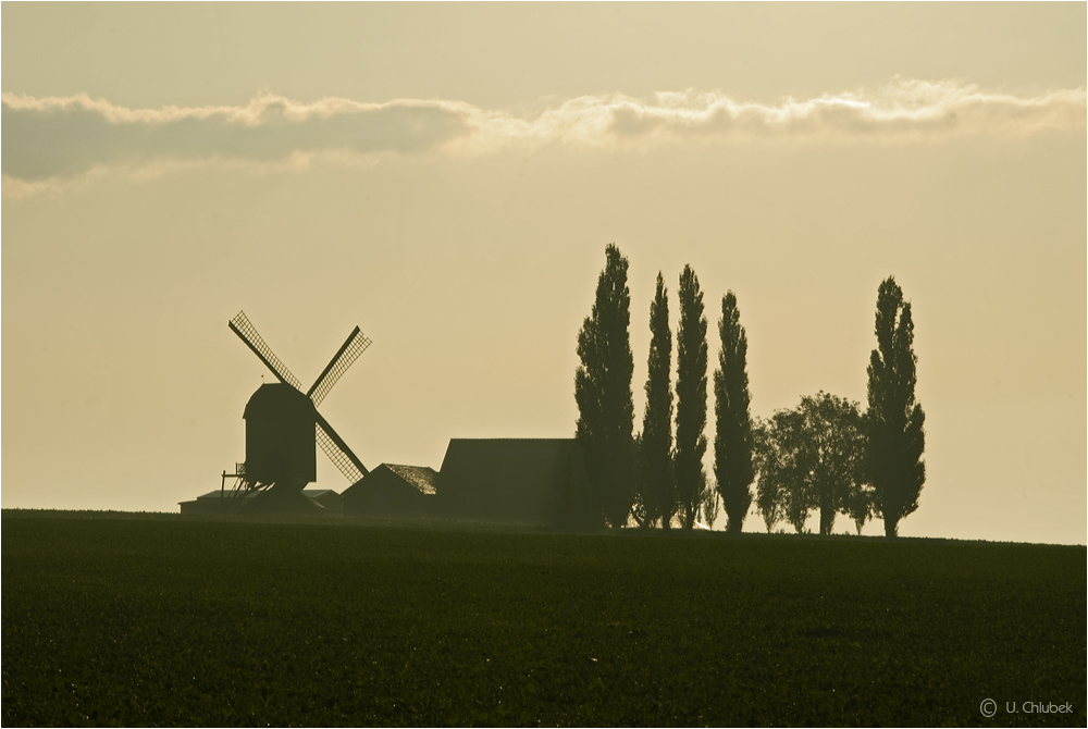 felder mit mühle und pappeln