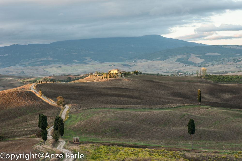 Felder nah Pienza