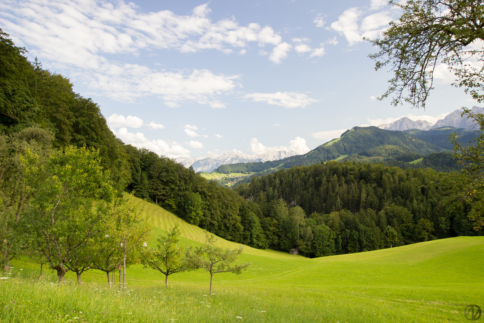 Felder und Berge